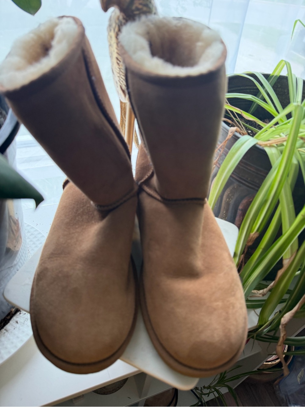 UGG Classic Short II Boots Chestnut Size 9